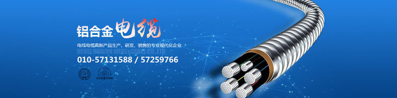 滄州市統(tǒng)計(jì)工作規(guī)范化建設(shè)推進(jìn)會(huì)在華倫公司順利召開！